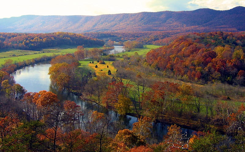 Shenandoah River, West Virginia, forest, autumn, leaves, colors, trees, HD wallpaper