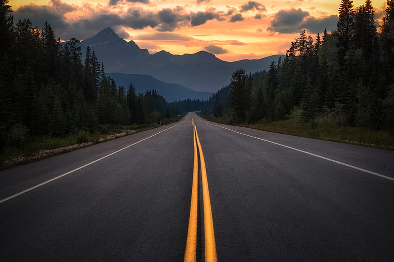 Canada, road, trees, turn, asphalt, travel, forest, HD wallpaper