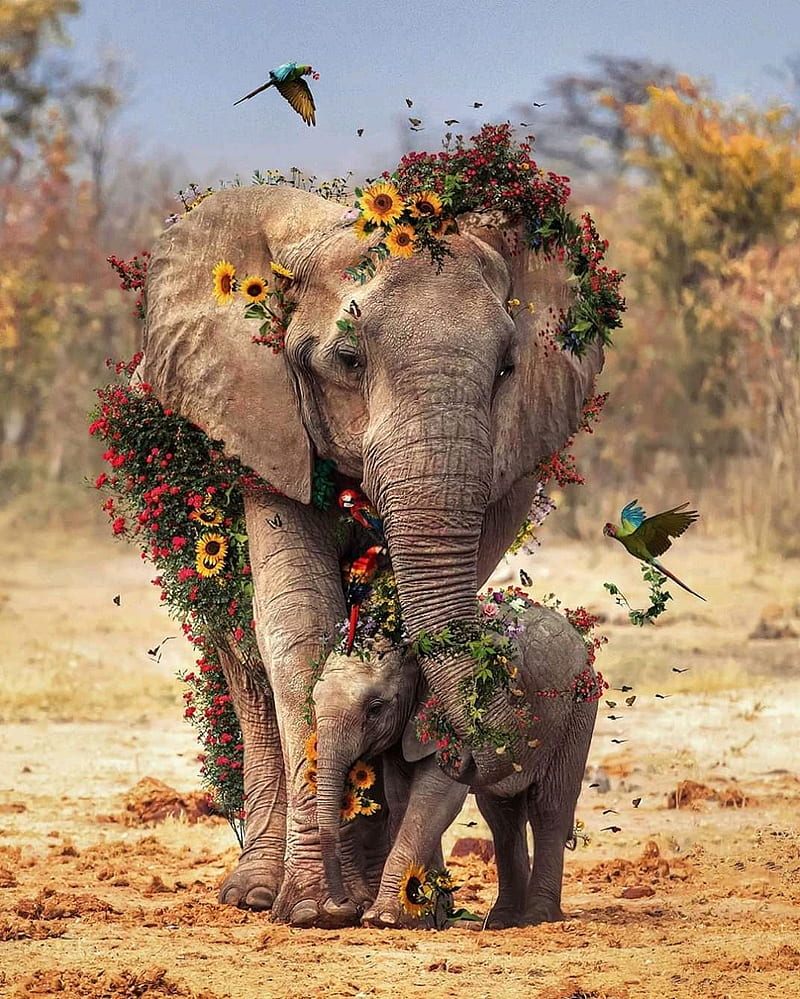 Madre e hijo, animals, elephant, elephants, life, love, mom, HD phone wallpaper