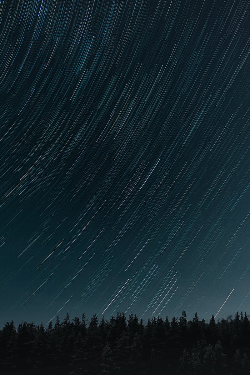 stars, long exposure, movement, forest, night, HD phone wallpaper