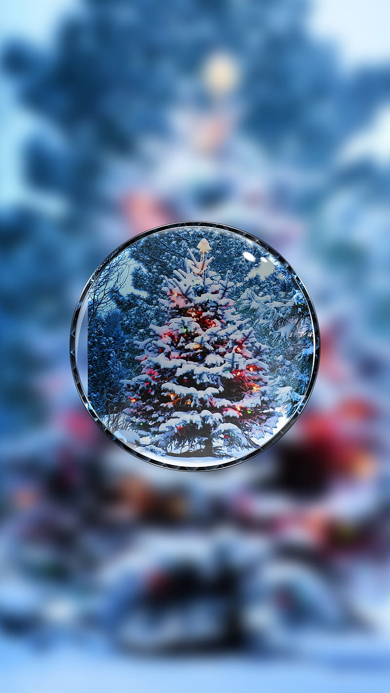 Christmas tree, beauty, holiday, snow, xmas, HD phone wallpaper Peakpx