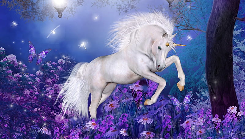 Dancing Unicorn, mystical, unicorn, mysterious, trees, fireflies, daisies, fantasy, flowers, mythical, night, HD wallpaper