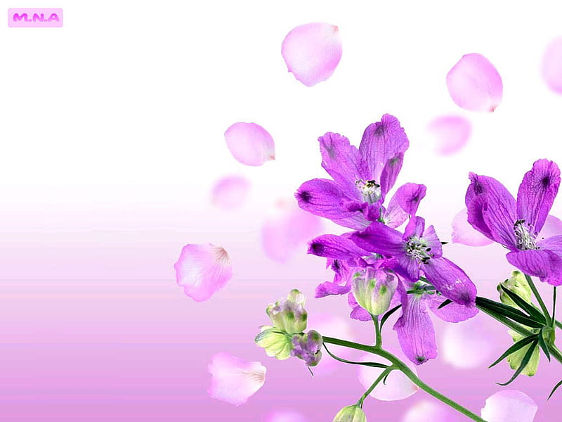 Flores violetas, flores de colores, rosa, colores, flor colorida, flor,  flores, Fondo de pantalla HD | Peakpx