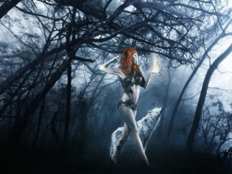 Light in the Dark, wolf, girl, blue, light, HD wallpaper Light in the Dark, wolf, girl, blue, light, HD wallpaper