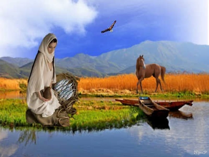 fishing, horse, fish, woman, lake, bird, HD wallpaper