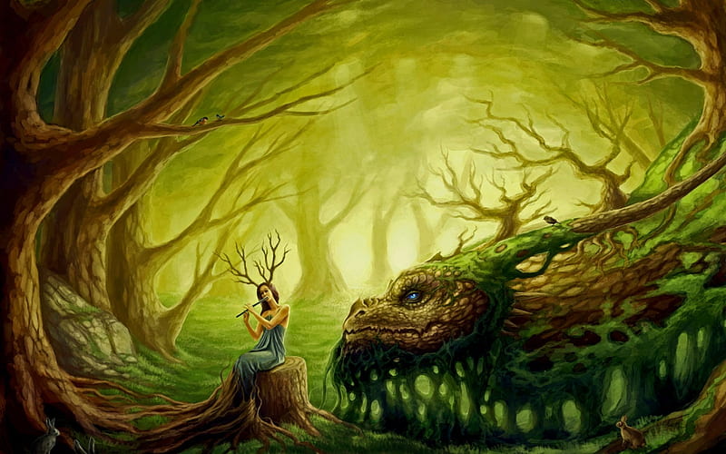 Druids Song forest fantasy dark magic dragon HD wallpaper  Peakpx