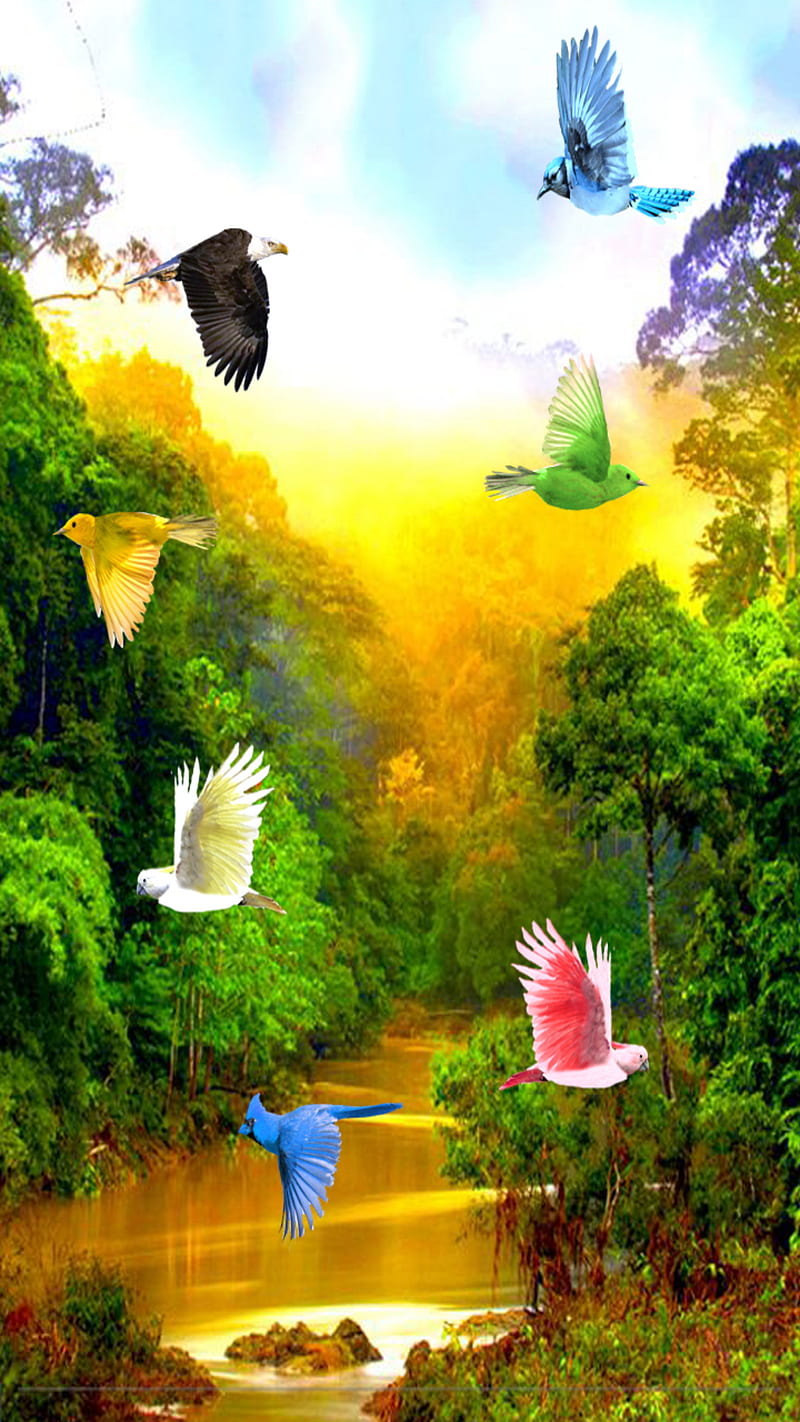 Birds and Trees Wallpapers  Top Free Birds and Trees Backgrounds   WallpaperAccess