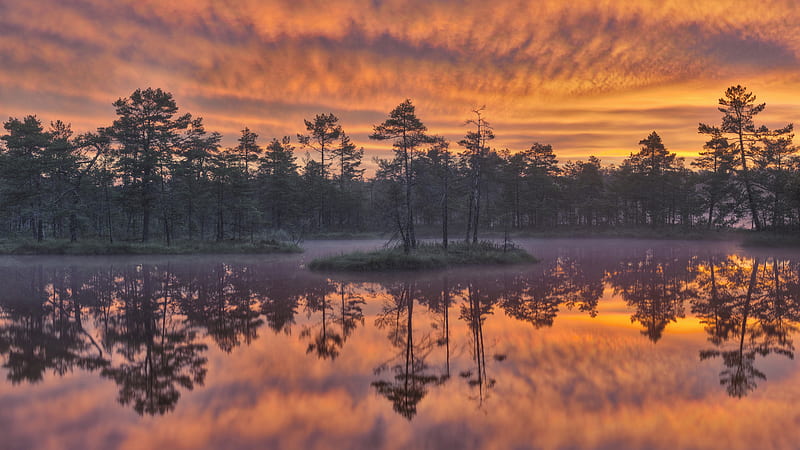 Sweden Lake Around Trees During Sunset Nature, HD wallpaper