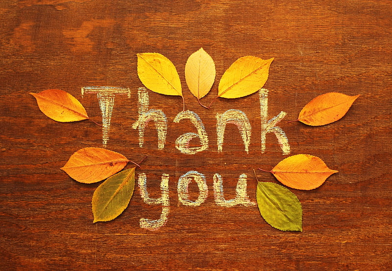 Thank You, autumn, orange, day, wood, thanksgiving, card, leaf, HD wallpaper