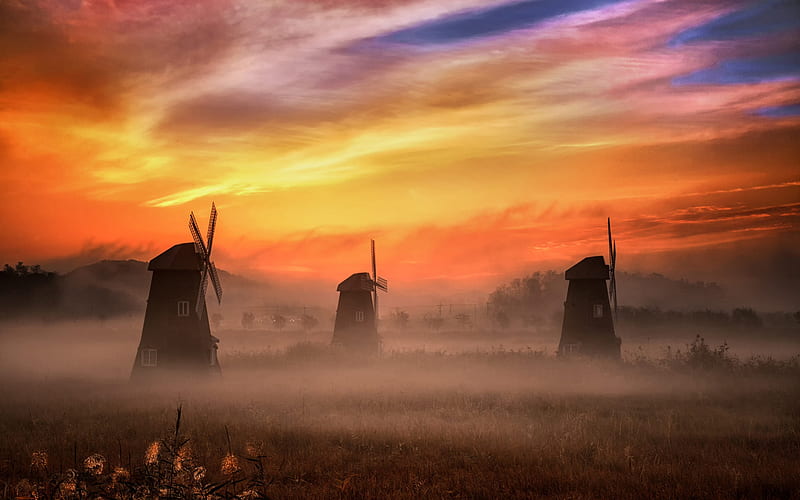morning, sunrise, mills, field, fog, beautiful landscape, HD wallpaper