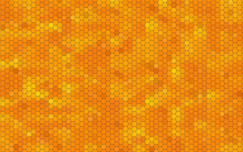 honeycomb texture, macro, food textures, yellow backgrounds, honeycomb, abstract honeycomb background, honey textures, honey, HD wallpaper