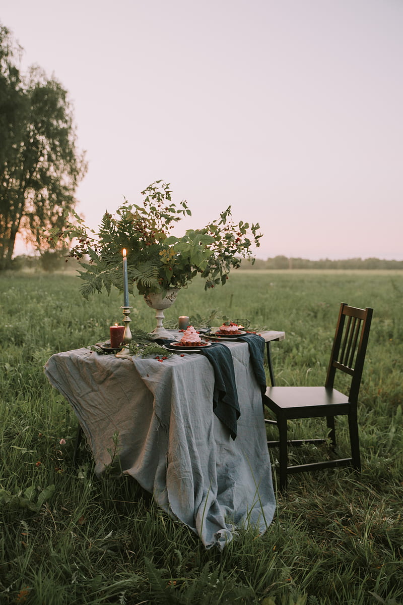 table, chair, lawn, nature, romance, HD phone wallpaper