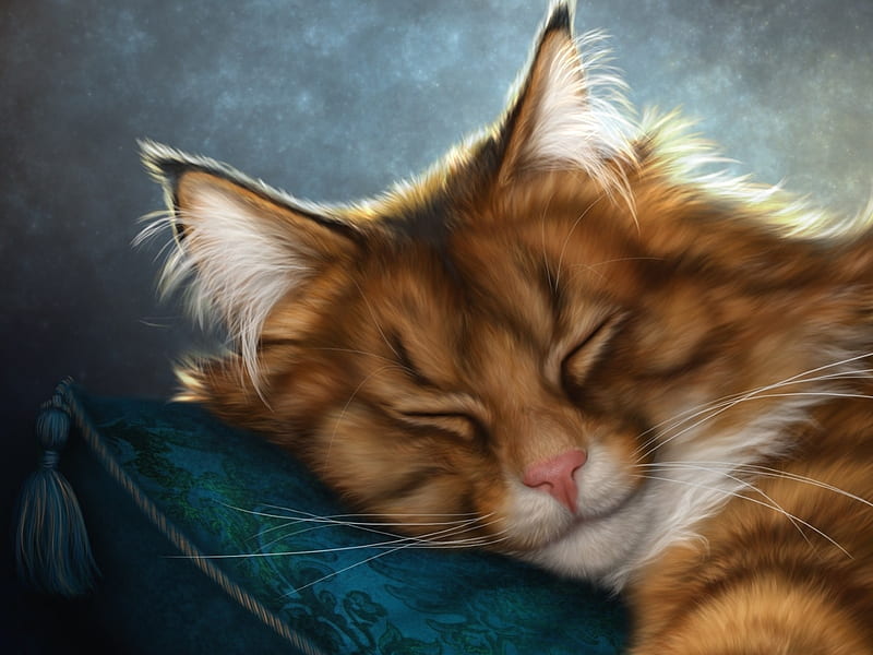 The cat sleeps, alenaekaterinburg, frumusete, pillow, fantasy, sleep, cat,  animal, HD wallpaper | Peakpx