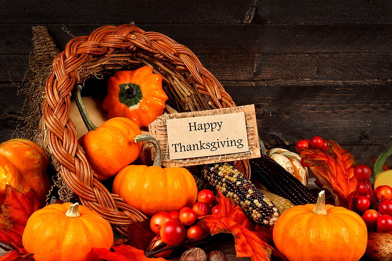 Happy Thanksgiving!, pretty, fall, autumn, holiday, november, happy,  thanksgiving, HD wallpaper | Peakpx