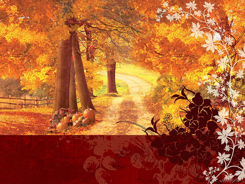 AUTUMN IDLLIC, graph, country path, colors of fall, graphic accents, HD wallpaper
