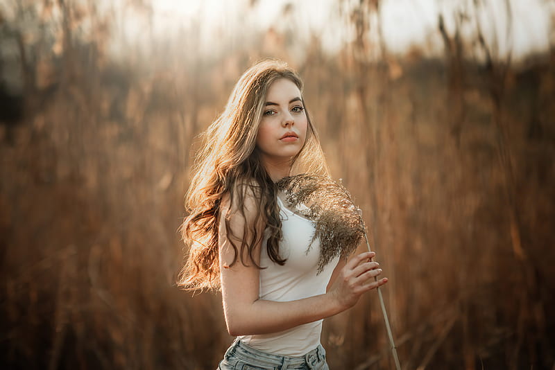 Girl In Corn Field, girls, model, field, HD wallpaper
