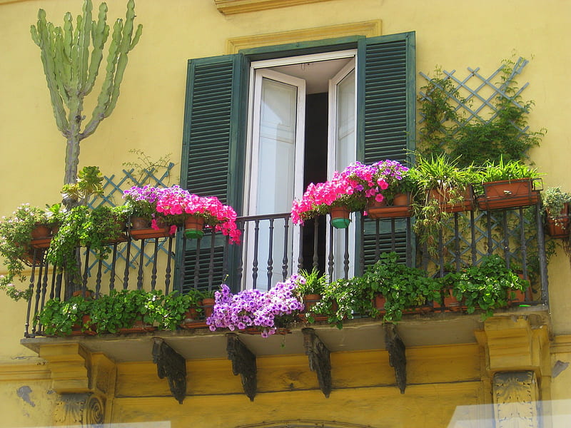 Balcony Garden, cute, lovely, green, balcony, plants, flowers, pink, HD wallpaper