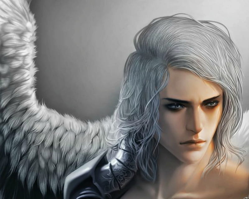 Calamity, art, wings, luminos, guy, angel, man, cashile, fantasy, feather, handsome, face, white, HD wallpaper
