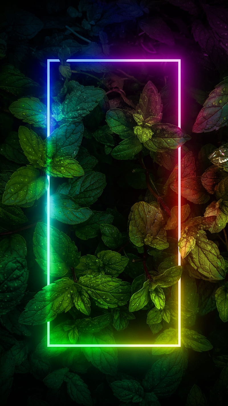 Neon, desenho, green leaves leaves, nature, neon lights, HD phone wallpaper  | Peakpx