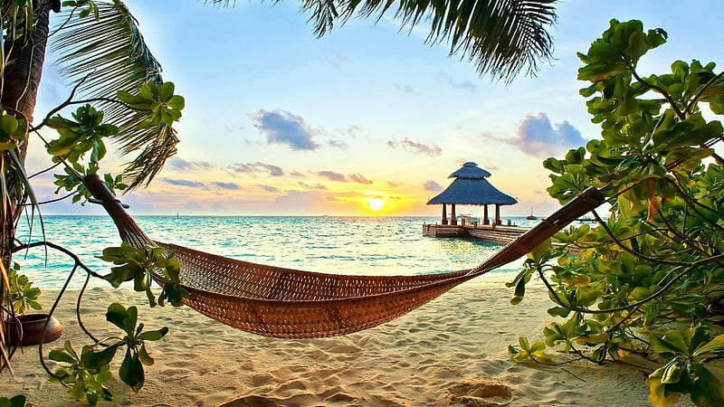 Beach Lounger, beach, sand, lounger, nature, palm, sunset, trees, clouds, HD wallpaper