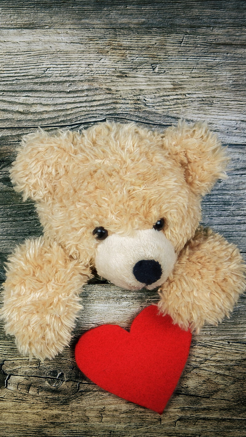 Valentines Day Love , teddybear, heart, valentines day, HD phone wallpaper