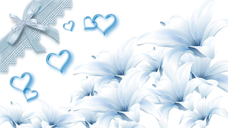 Lily Ribbon and Hearts, lace, ribbon, valentiens day, lilies, corazones, flowers, lily, white, blue, HD wallpaper