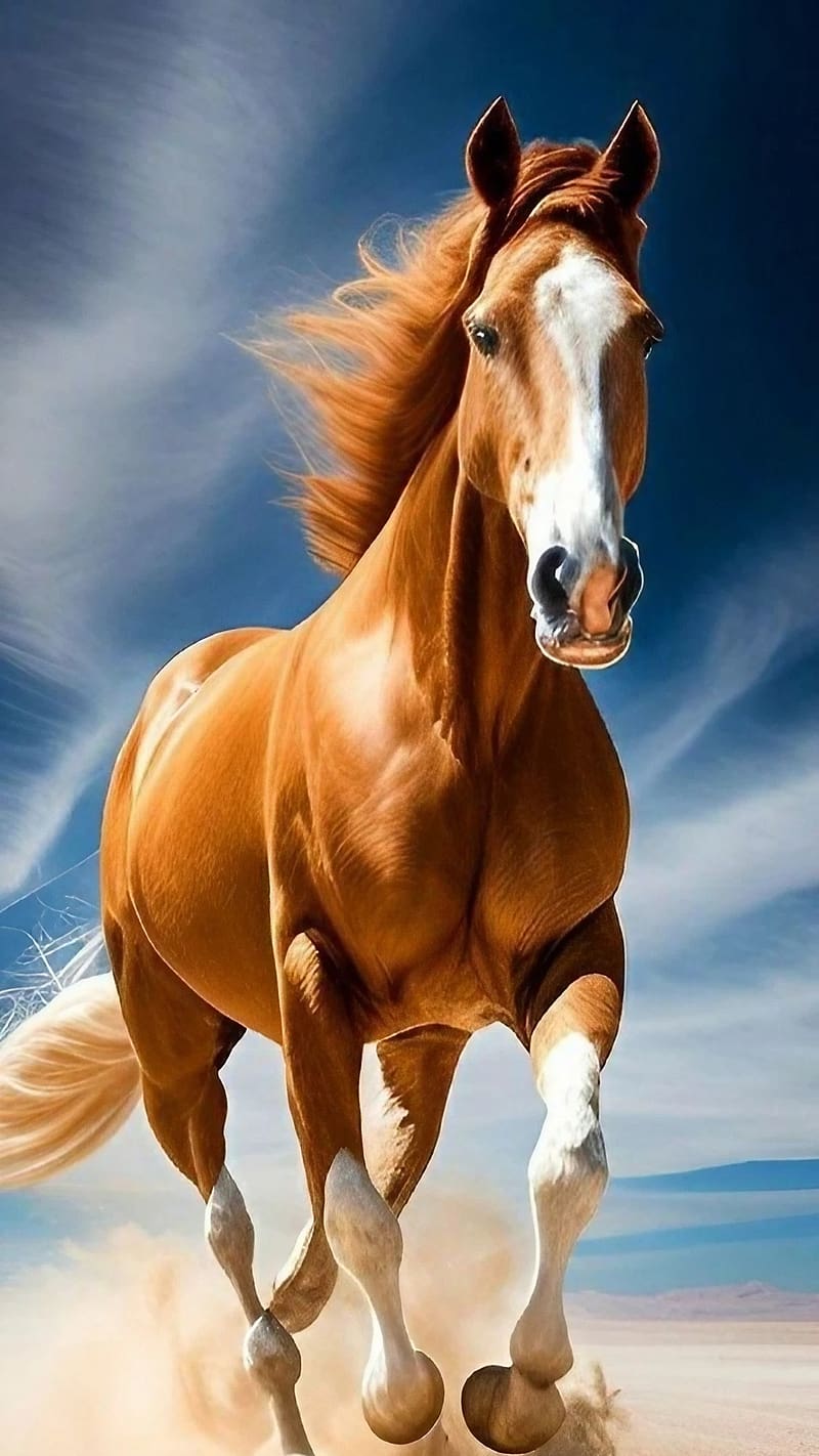 Brown Running Horse Mobile, Sky Background, running horse mobile, brown horse, HD phone wallpaper
