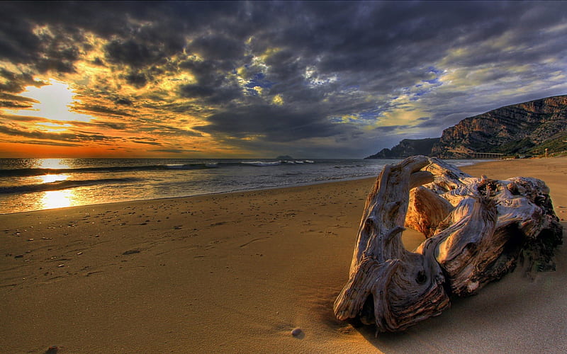 driftwood on a beach at sunset r, driftwood, beach, r, sunset, clouds, sea, HD wallpaper