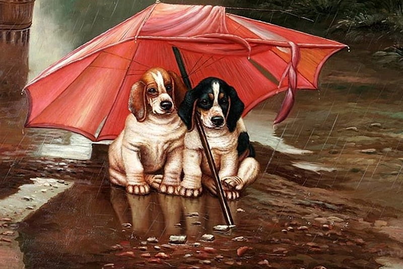 Two puppys in the rain, cute, red, two, umbrella, rain, pets, dogs, weather, HD wallpaper