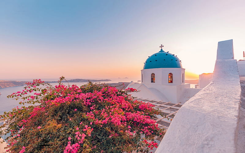 Santorini, Aegean Sea, Oia, Bougainvillea, church, flower bush, romantic places, sunset, evening, Mediterranean Sea, Greece, HD wallpaper