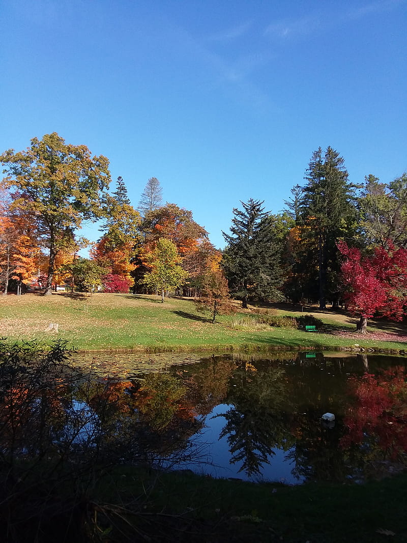 Coburn fall, maine, skowhegan, HD mobile wallpaper | Peakpx