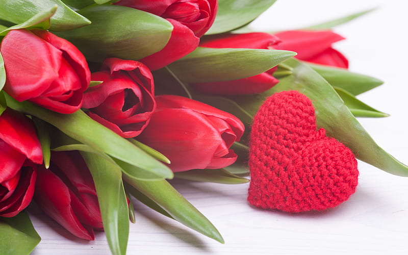 red tulips, Valentine's Day, February 14, red woven heart, romance, tulips, beautiful red flowers, HD wallpaper