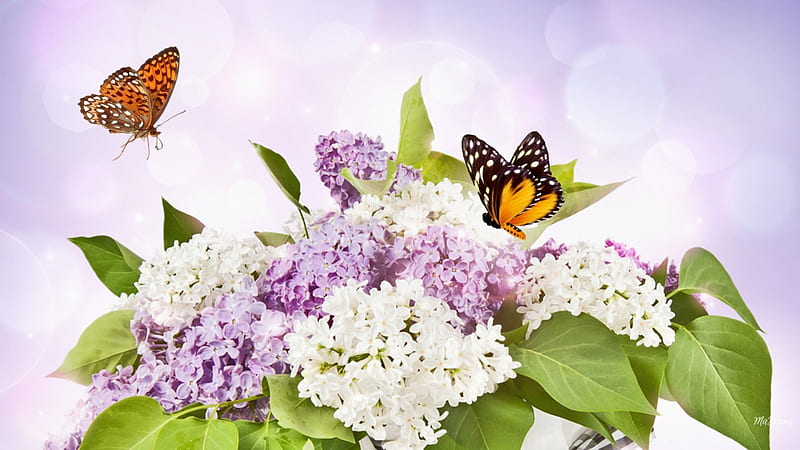 Basket of Fragrance, bokeh, bouquet, fragrant, spring, lavender, butterflies, lilacs, HD wallpaper