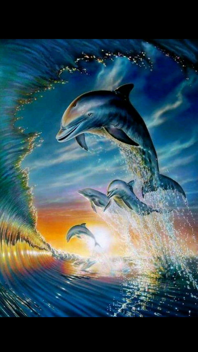 dolphin, playtime, HD phone wallpaper