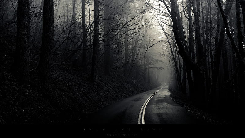 Into The Mist, forest, road, darkness, dark, HD wallpaper