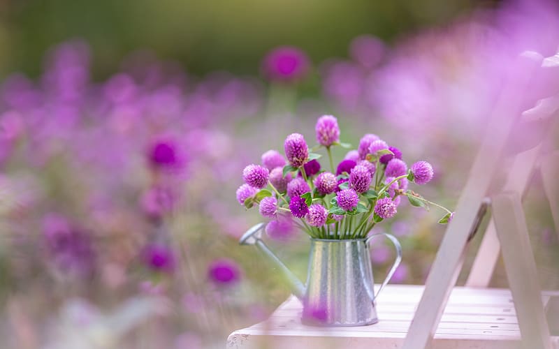 :), wayering can, flower, garden, mini, watering can, chair, purple, summer, pink, vara, HD wallpaper