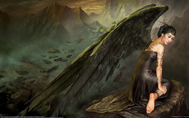 Black Angels - the myth of aesthetic CG illustrator, HD wallpaper