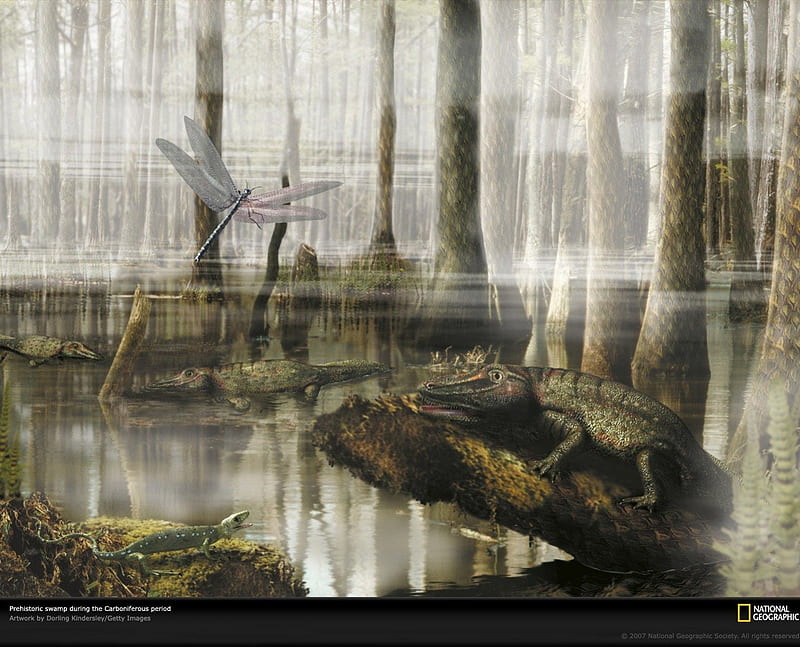 carboniferous-swamp, fossil, national geographic, animal, carboniferous, paleontology, nice, prehistory, reptiles, reptile, animals, amazing, lake, cool, drawing, prehistoric, awesome, great, dinosaur, HD wallpaper