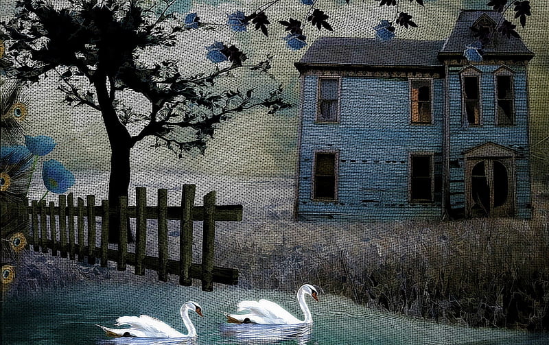 The Lake House, fence, peacock feathers, house, abstract, swan, lake, tree, bird, texture, nature, field, blue, HD wallpaper