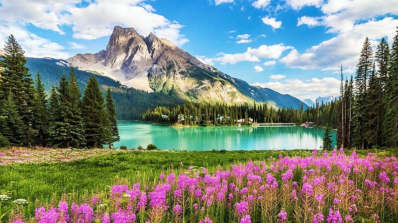 Emerald Lake, Yoho National Park, British Columbia, rocks, wildflowers ...