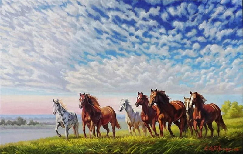 Horses running, horse, run, wild, animal, HD wallpaper
