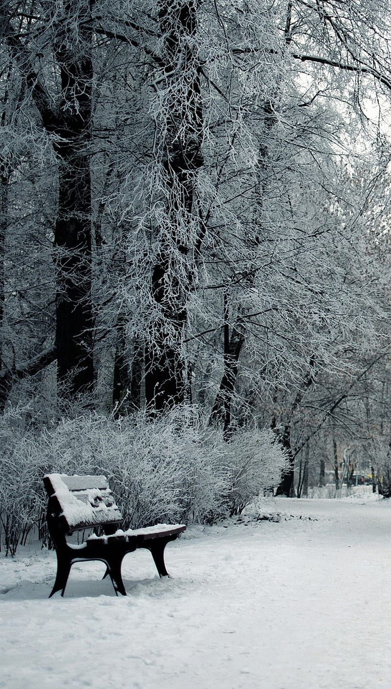 Winter in Park, bench, garden, nature, snow, HD phone wallpaper