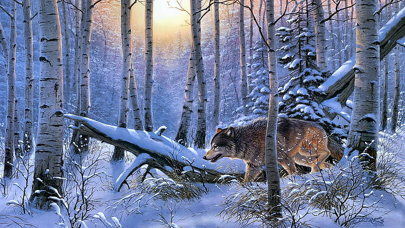 Icewolf, white, winter, iarna, blue, ice wolf, mineajuntura