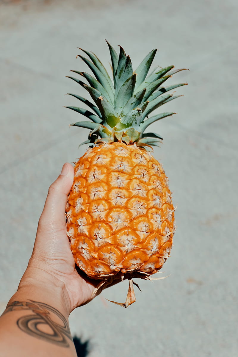 pineapple, fruit, hand, tropical, HD phone wallpaper