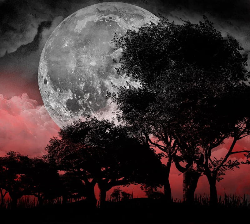 Moon Red Night Sky Forest Scenery 4K Wallpaper #6.2202