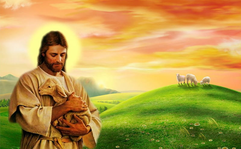 Good shepherd, christ, sheep, jesus, shepherd, god, HD wallpaper
