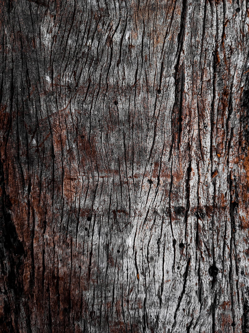 Wood Texture, dark, forest, grain, gris, madera, orange, rustic, texture, wood, HD phone wallpaper
