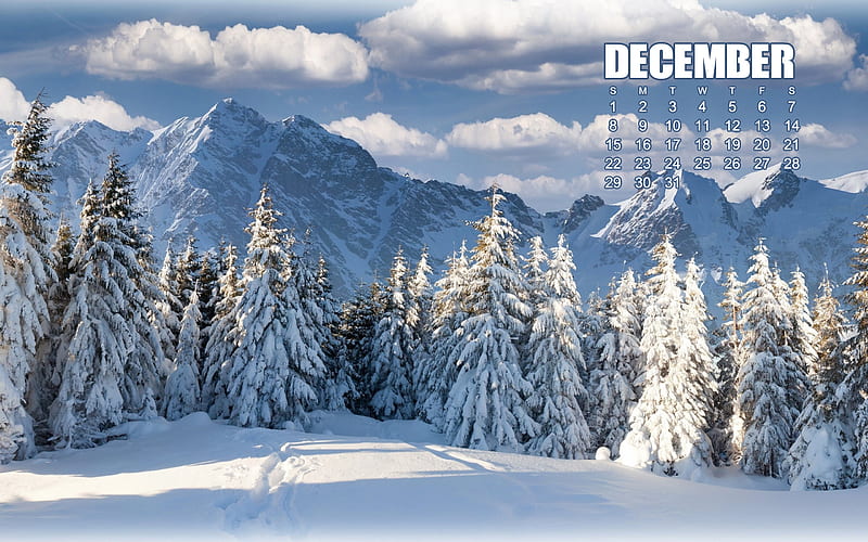 December 2019 calendar, winter 2019, monthly calendar, December 2019, winter months, winter landscape with a calendar, HD wallpaper