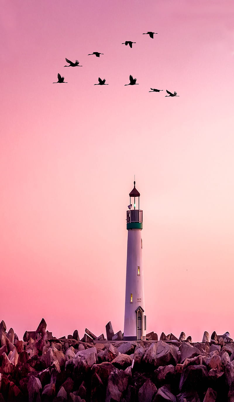 lighthouse, HI, art, bonito, bird, birds, cloud, door, lantern, light, mural, pink, rock, sea, sky, stone, window, HD phone wallpaper