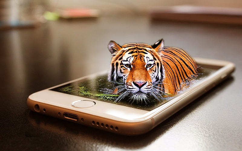 tiger, smartphone, water, creative, HD wallpaper